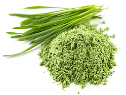 wheat grass powder